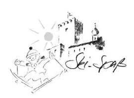 Logo Falkenstein