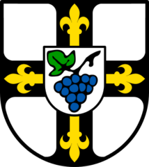 Logotipo Erlenbach