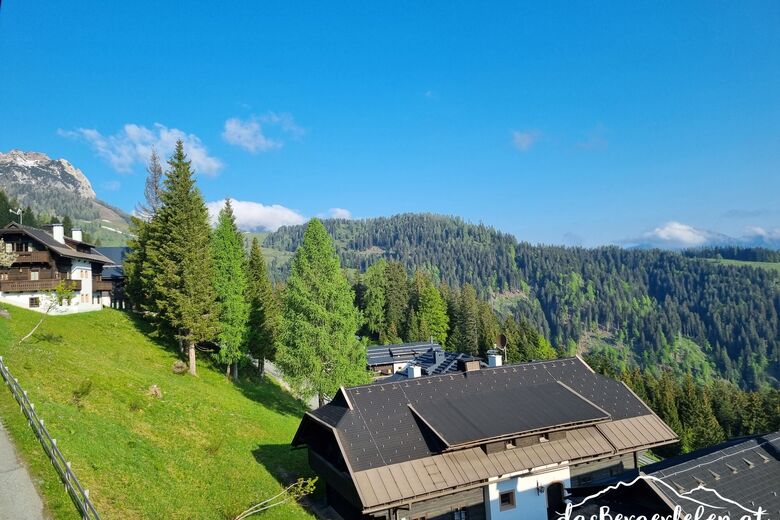das Bergerleben-Wohlfühlapartment Nassfeld