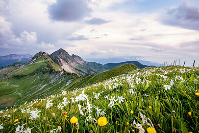 Les Paccots - Châtel Saint Denis