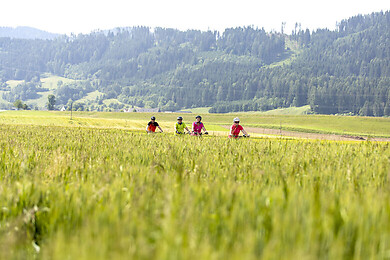 Erlebnisregion Murtal