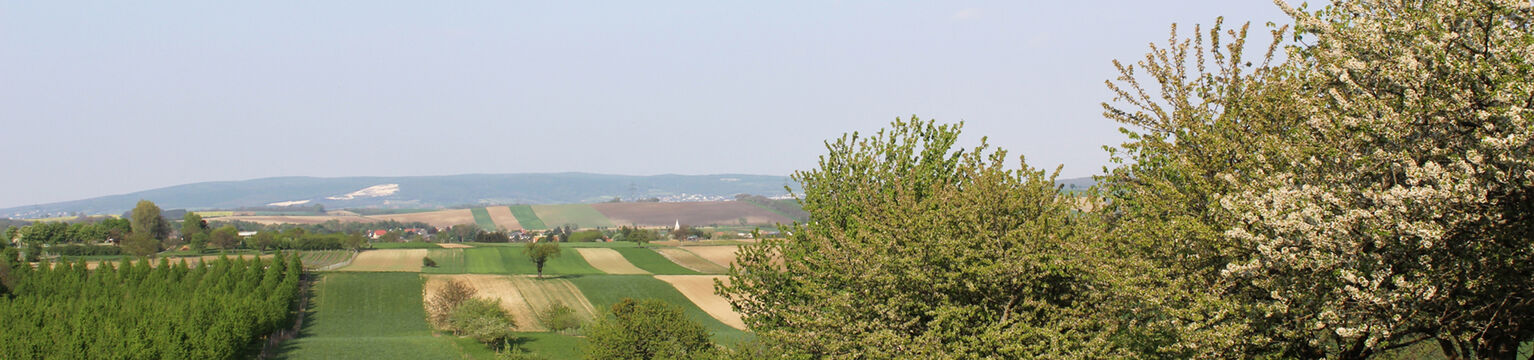 Pöttsching