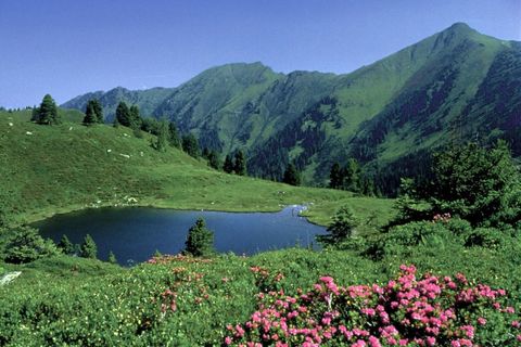 Hochgenüsse auf den Almen