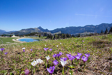Corrençon en Vercors
