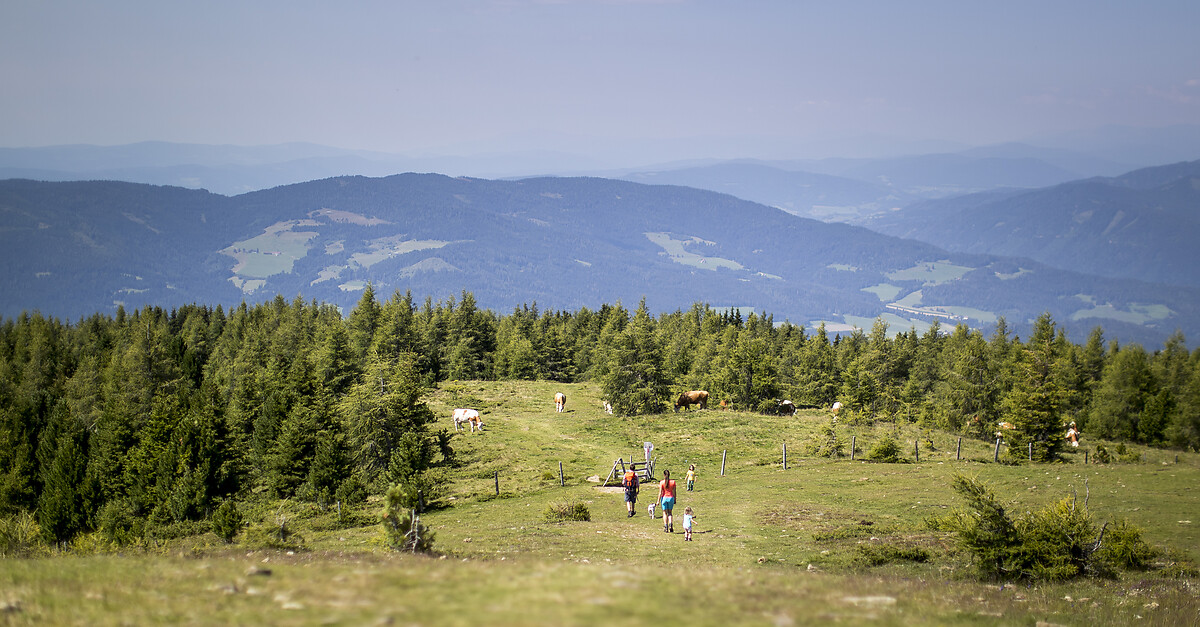 Touren - BERGFEX - Naturpark Zirbitzkogel - Grebenzen - Gravelbike ...