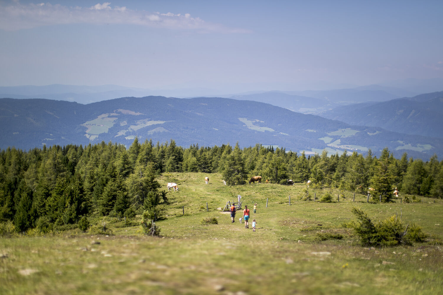 Naturpark Zirbitzkogel - Grebenzen