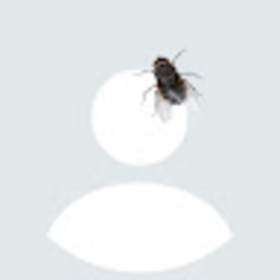 Avatar von Maxim Krav