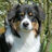 Avatar von Bohni