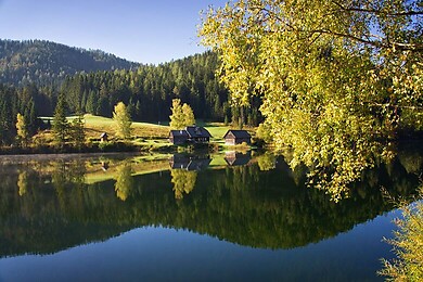 Halltal