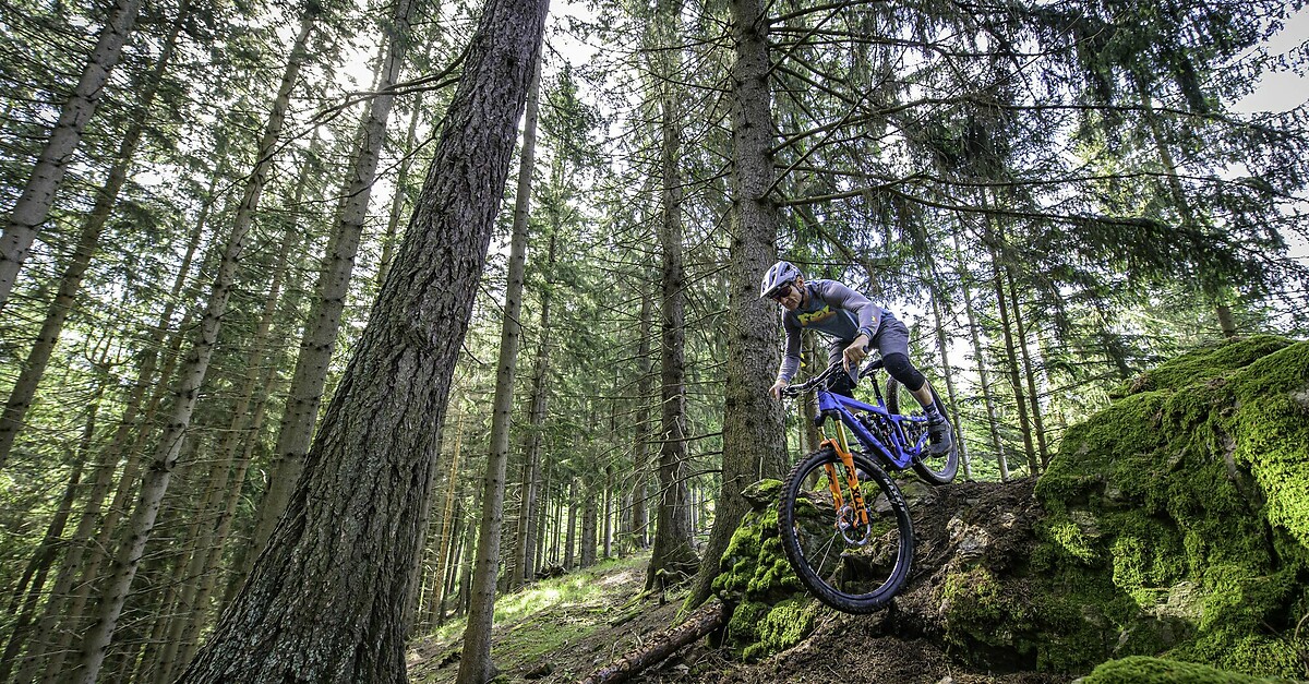 BERGFEX-Sehenswürdigkeiten - Mountainbike-Singletrail „Brandwaldsteig ...