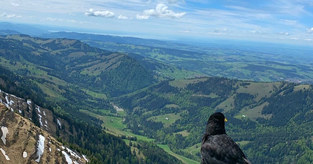 Hochgrat Rindalphorn BERGFEX Wanderung Tour Bayern