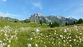 Region letni