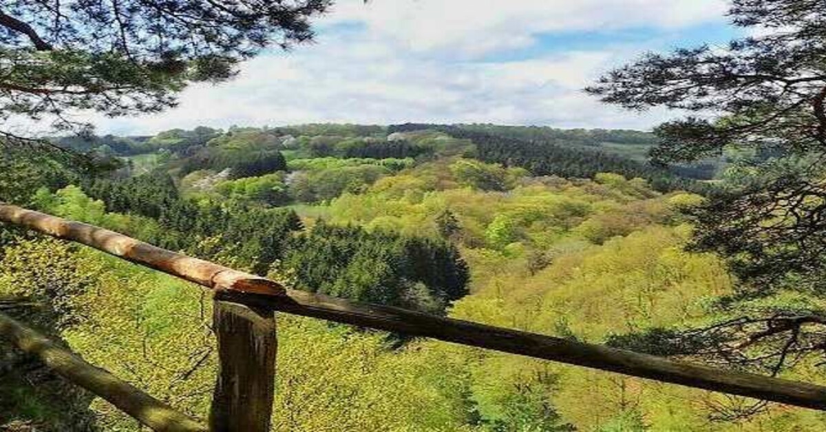 Durch die Fichtenwälder bei Höfen BERGFEX Wanderung Tour NordrheinWestfalen