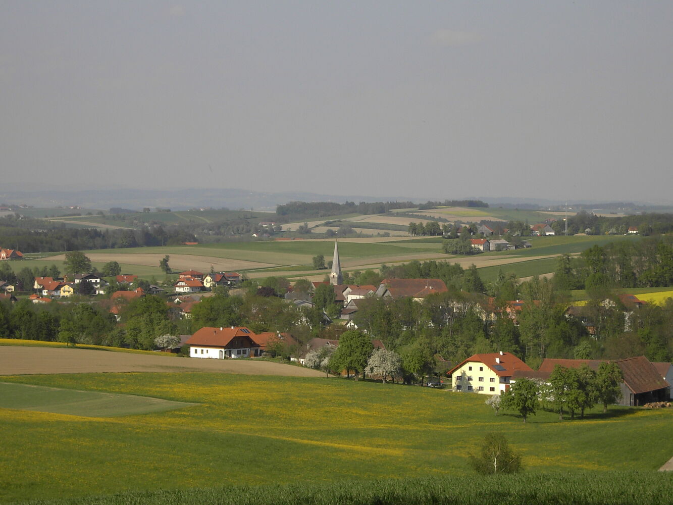 Senftenbach