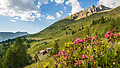 Letní region