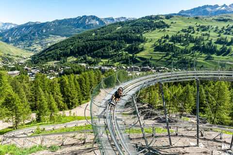 Luge sur Rail - Caribou