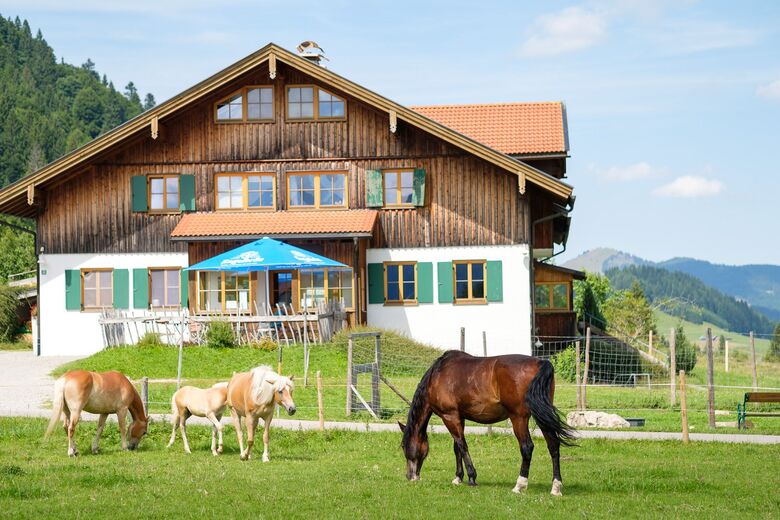 Haflingerhof