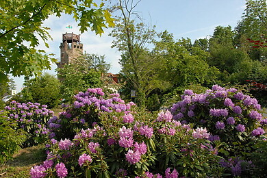Dresdner Heidebogen