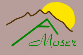 Logo Appartementhaus Moser