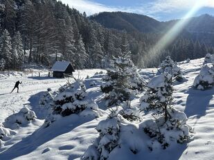 St. Aegyd am Neuwalde