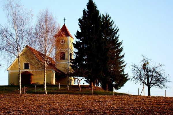 Markt Hartmannsdorf: Apfeltour - BERGFEX - Mountainbike - Tour Steiermark