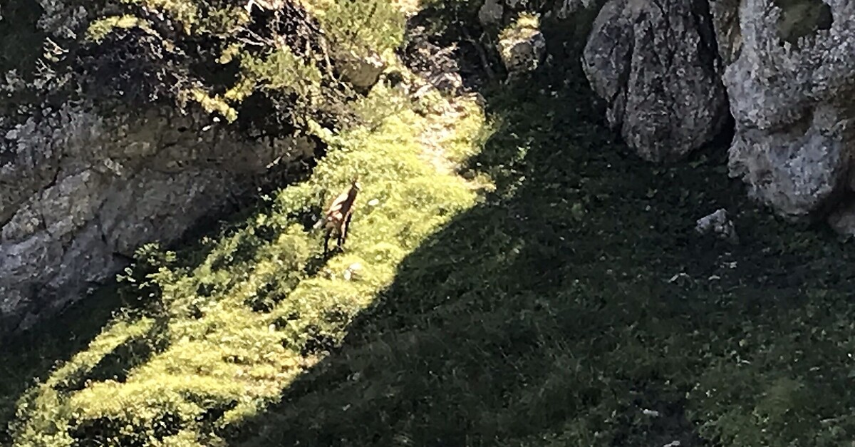 Bayreuther Hütte (von Kramsach) - BERGFEX - Wanderung - Tour Tirol