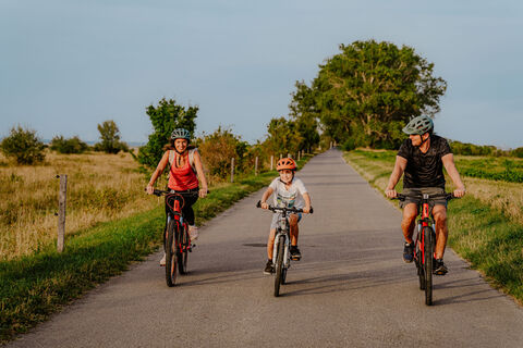 Radfahren am Neusiedler See