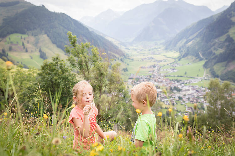 Rauris