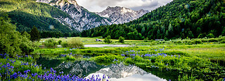 Kranjska Gora