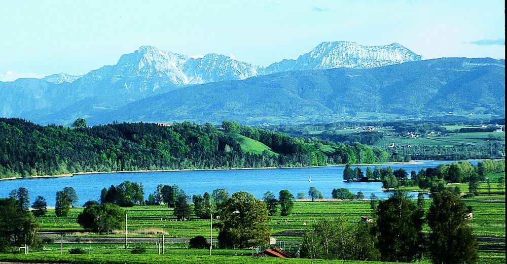 Seeuferweg - BERGFEX - Wanderung - Tour Bayern