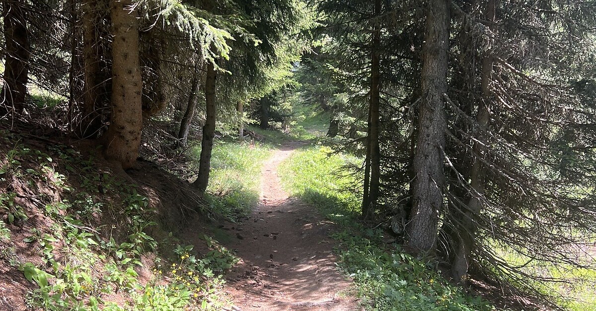 Rundweg Bettmeralp BERGFEX Wanderung Tour Wallis