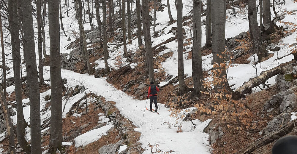 javorški vrh Neimenovana cesta, Slovenija BERGFEX Skitour Tour