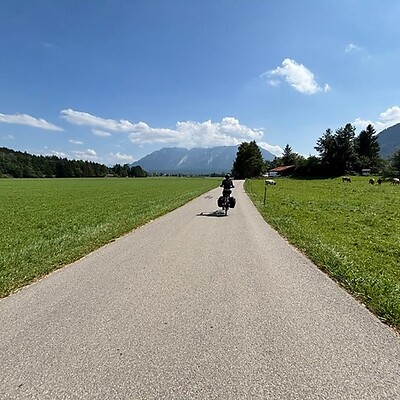 Avatar from Tanja Steiner