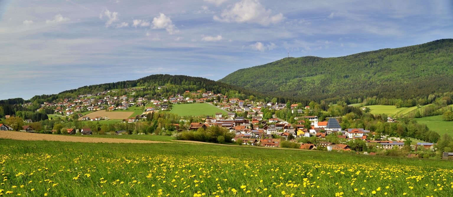 Rimbach
