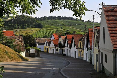 Weinviertel