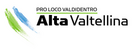 Логотип Valdidentro