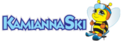 Logotip Kamianna