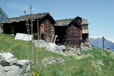 Törbel