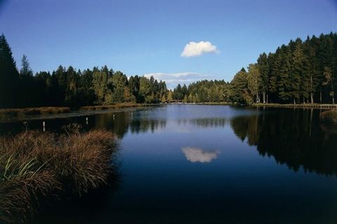 Lindenberger Waldsee