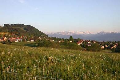 Hinwil