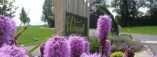 Wenigzell