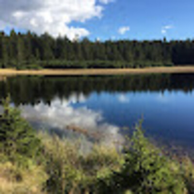 Avatar z Franc Rado Samsa