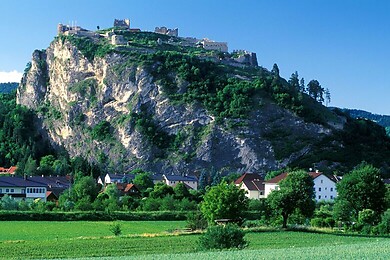 Griffen