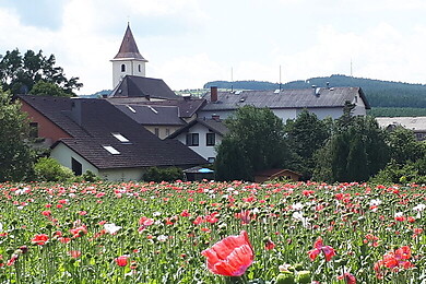 Martinsberg