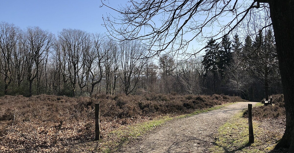 Terziet Door Het Bovenste Bos Langs Oude Grenzen Vlaanderen En