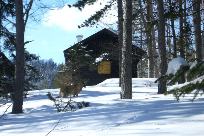 Bärenloch Mariental