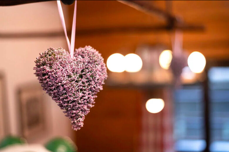 Nassfeld Apartment - Das Herzale