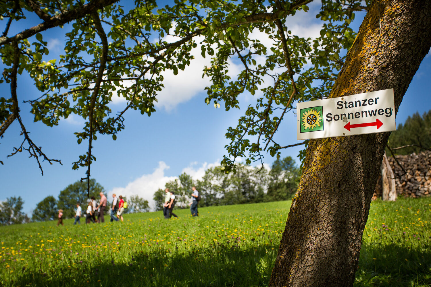Mürztaler Streuobstregion Kindberg-Stanzertal