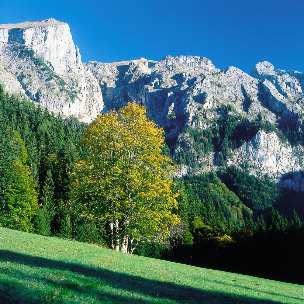 Alpenregion Hochschwab / Aflenz-Thörl