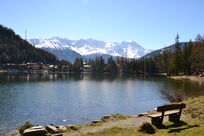 Sommarregion